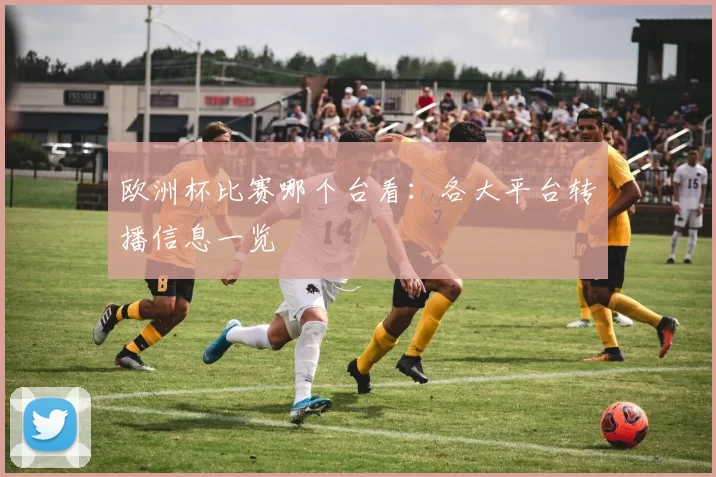 欧洲杯比赛哪个台看:各大平台转播信息一览