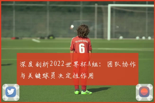 深度剖析2022世界杯A组:团队协作与关键球员决定性作用