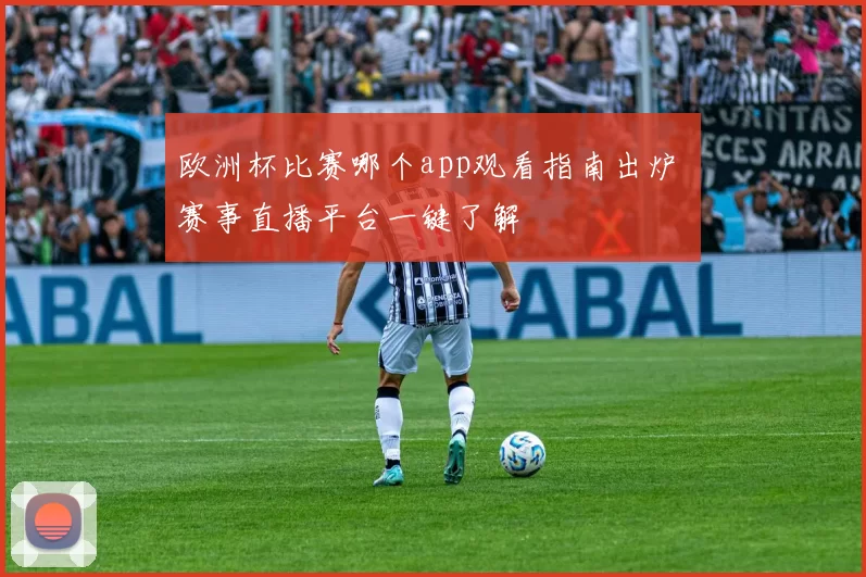 欧洲杯比赛哪个app观看指南出炉 赛事直播平台一键了解