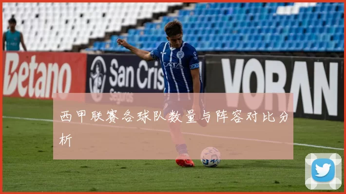 西甲联赛各球队数量与阵容对比分析