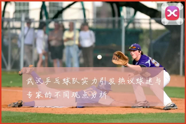 武汉乒乓球队实力引发热议球迷与专家的不同观点分析