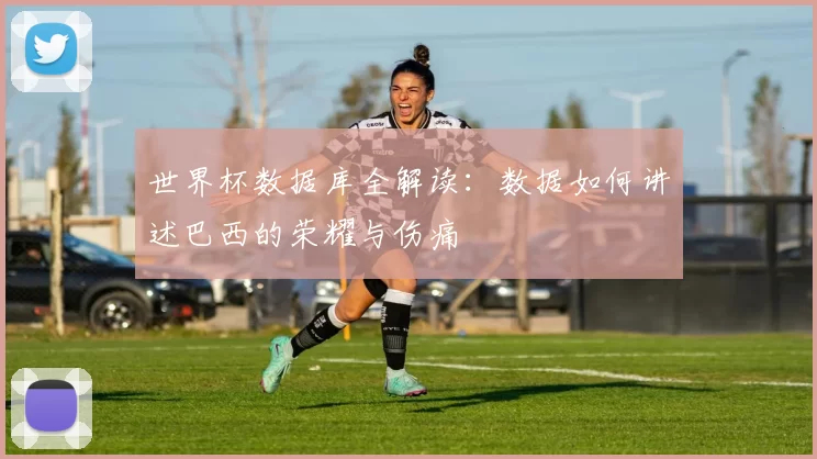 世界杯数据库全解读:数据如何讲述巴西的荣耀与伤痛