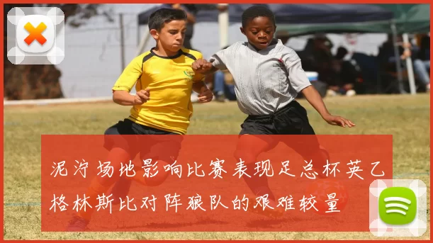泥泞场地影响比赛表现足总杯英乙格林斯比对阵狼队的艰难较量