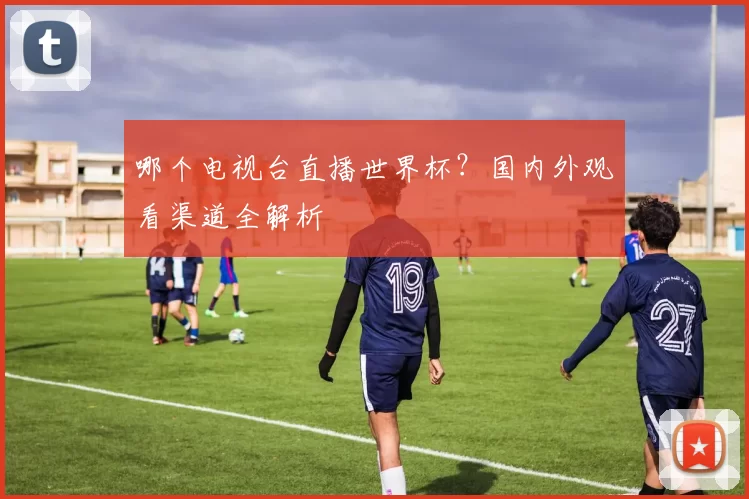 哪个电视台直播世界杯？国内外观看渠道全解析