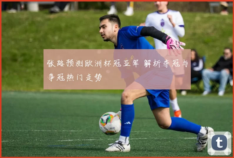 张路预测欧洲杯冠亚军 解析夺冠与争冠热门走势