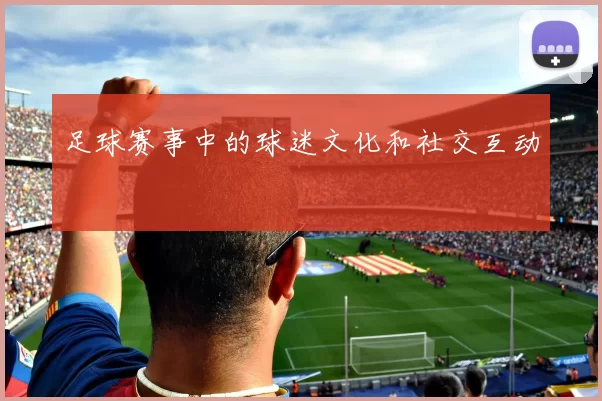 足球赛事中的球迷文化和社交互动