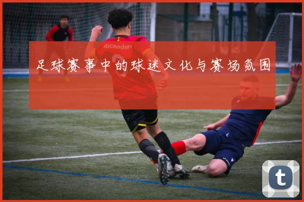 足球赛事中的球迷文化与赛场氛围