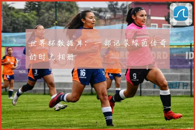 世界杯数据库:一部记录绿茵传奇的时光相册