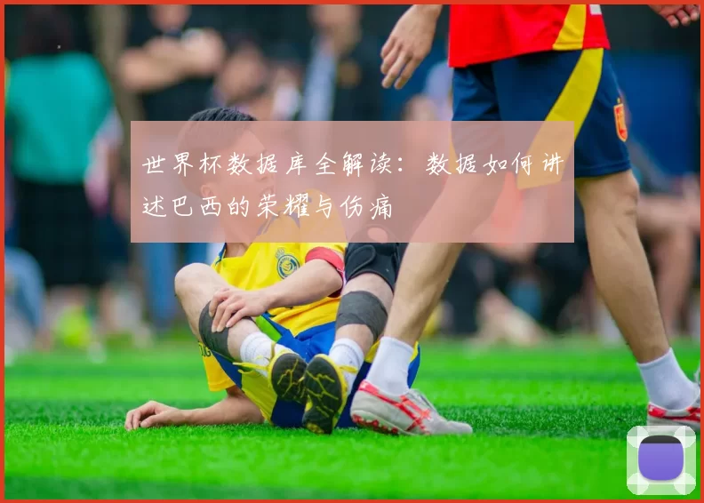世界杯数据库全解读:数据如何讲述巴西的荣耀与伤痛