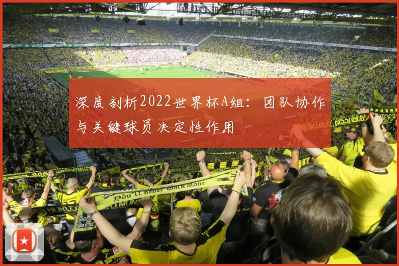 深度剖析2022世界杯A组:团队协作与关键球员决定性作用