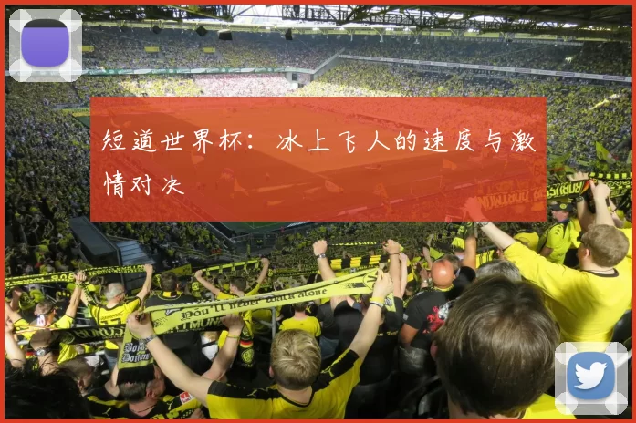 短道世界杯:冰上飞人的速度与激情对决