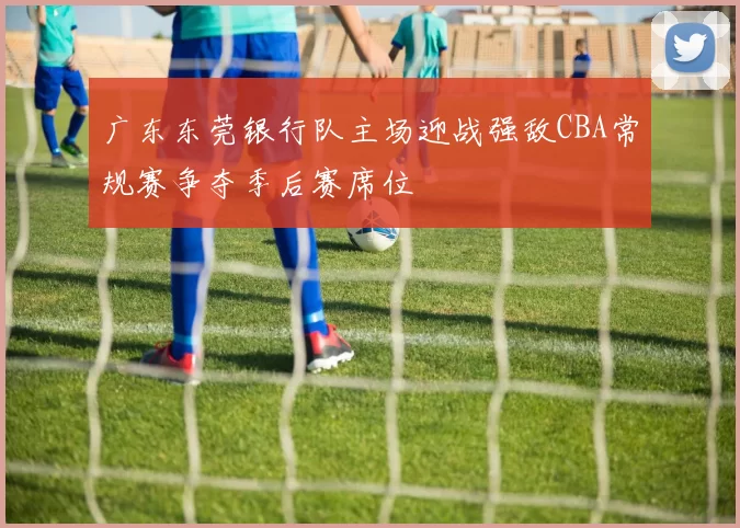 广东东莞银行队主场迎战强敌CBA常规赛争夺季后赛席位