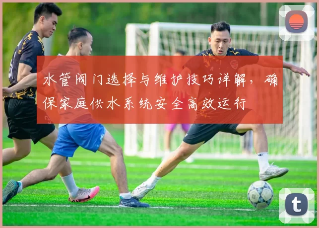 水管阀门选择与维护技巧详解,确保家庭供水系统安全高效运行