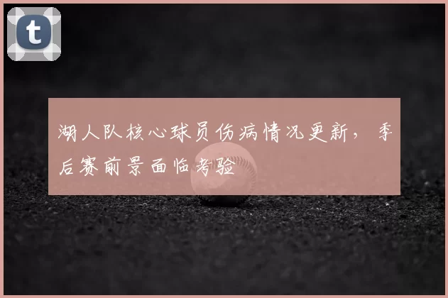 湖人队核心球员伤病情况更新,季后赛前景面临考验