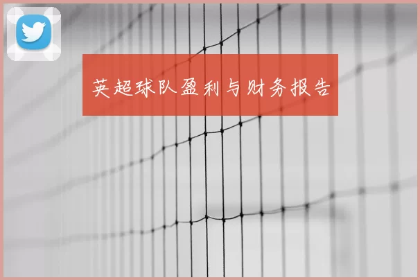 英超球队盈利与财务报告