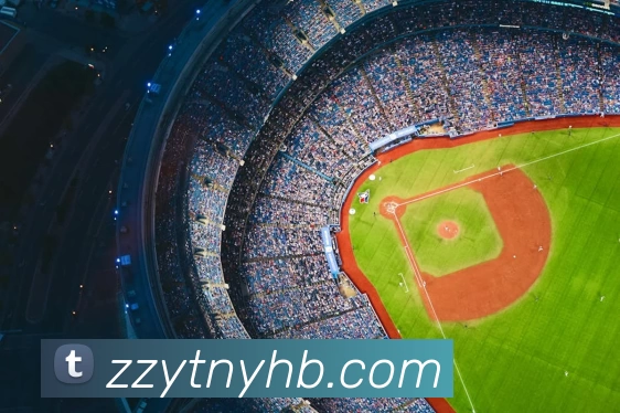 十大信誉好的平台平台生态图